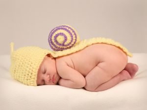IMG_7992.1