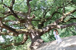 prewedding-foto-esterna